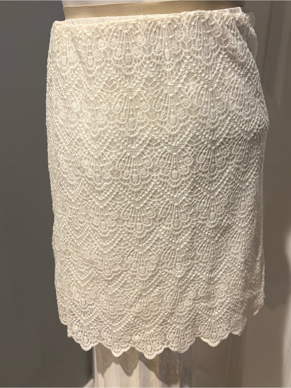 J Crew Lace Pencil Skirt - Classic Women's Skirt S/4